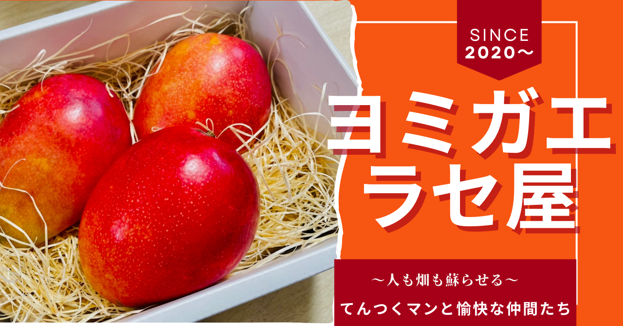 公式】ヨミガエラセ屋 無農薬マンゴー