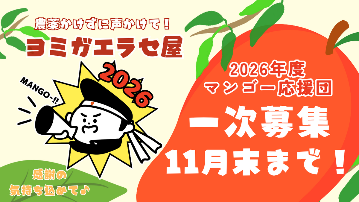マンゴーを買う - 【公式】ヨミガエラセ屋ホームページ 沖縄