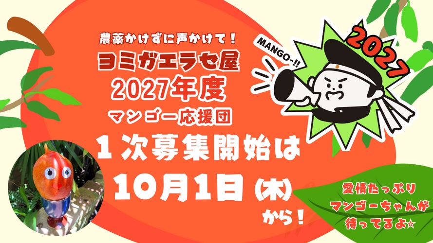 ヨミガエラセ屋 2027年度マンゴー応援団 1次募集